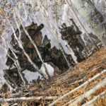 science fiction, Jared Shear, digital art, painting, forest, aspens, mech, soldier
