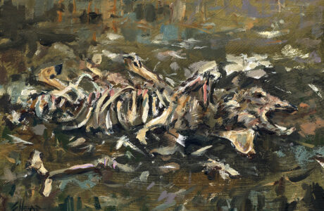 Jared Shear, roadkill, plein air, oil painting, Montana, deer,