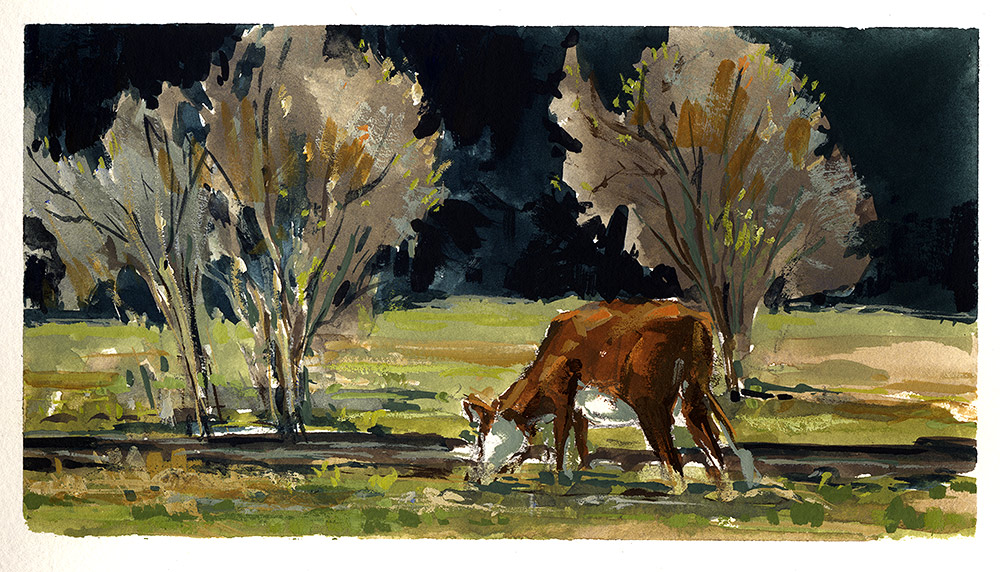 Jared Shear, herford, cow, montana, plein air, sketch, gouache, watercolor,