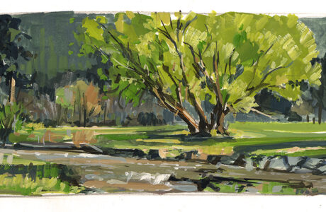 Jared Shear, Dry Creek, Montana, plein air, sketch, art, gouache
