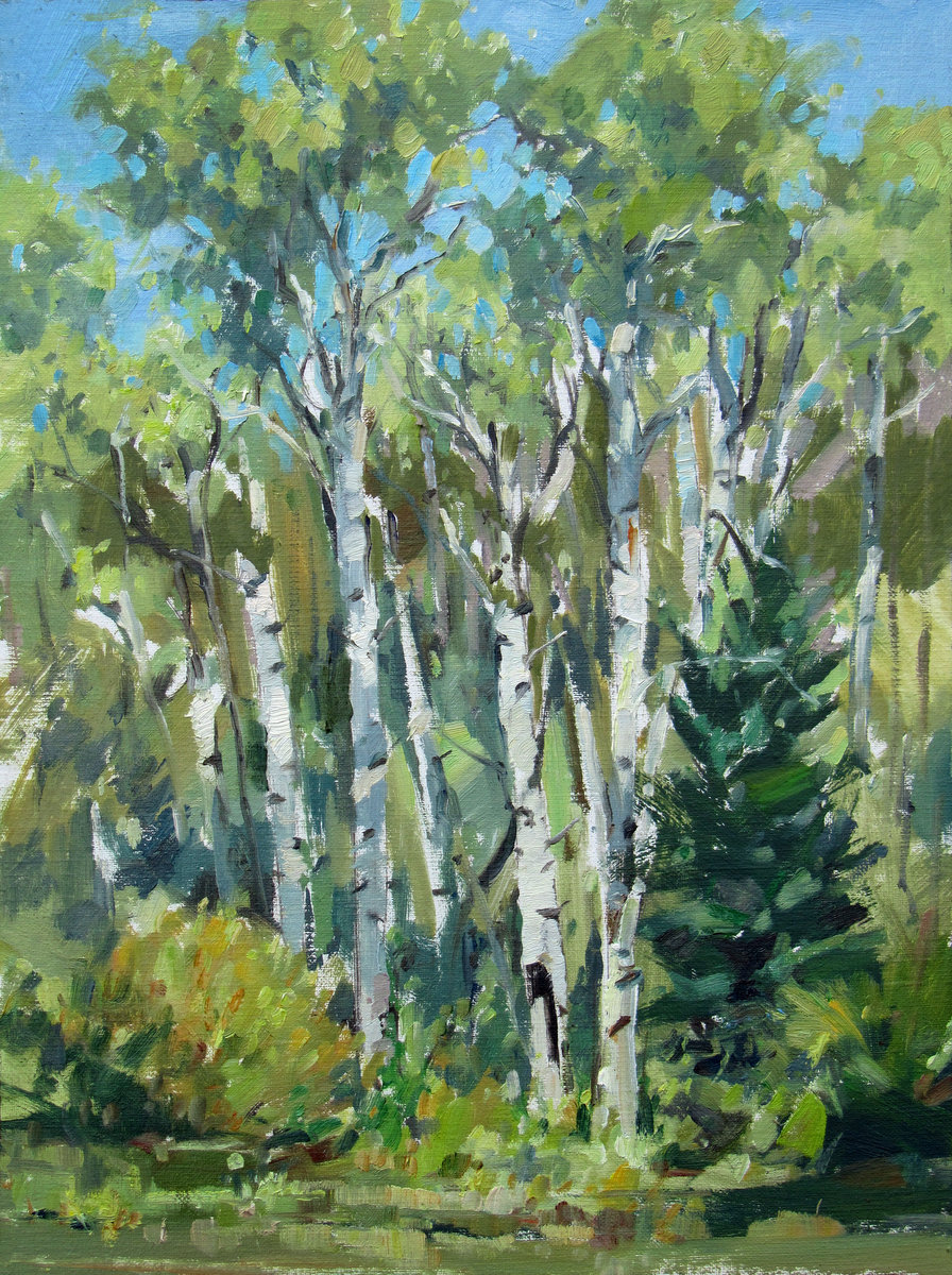 Jared Shear, plein air, Montana, wilderness, oil on linen, trees, aspens, landscape, art, painting