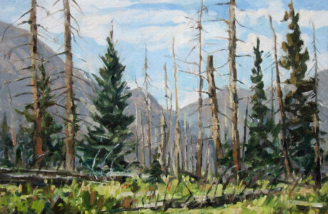 Jared Shear, Montana, plein air, art, painting, wilderness, oil on linen, burn, trees, Bob Marshall,